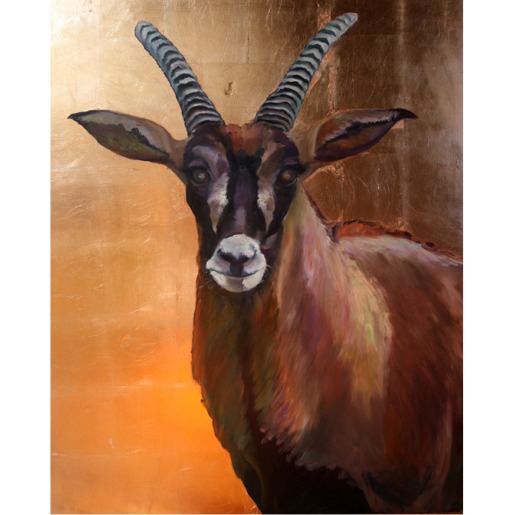 Roan Antelope