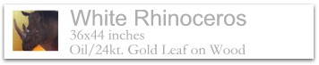 White Rhinoceros